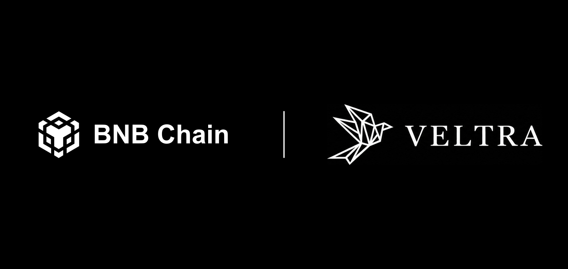 BNB Chain and Veltra logos — BNB Chain wallet trade history API is live on Veltra